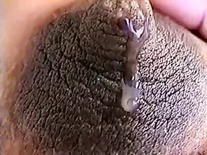 业余 泰米尔老性
