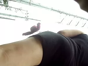 高清女性主导的性别视频兔子公园，同性恋  ...