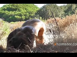 午夜狩猎,19. 体积 泰米尔老女演员性 ...
